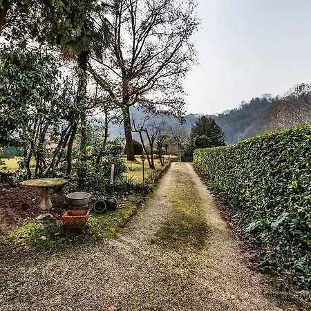 Moleloca - Margherita *