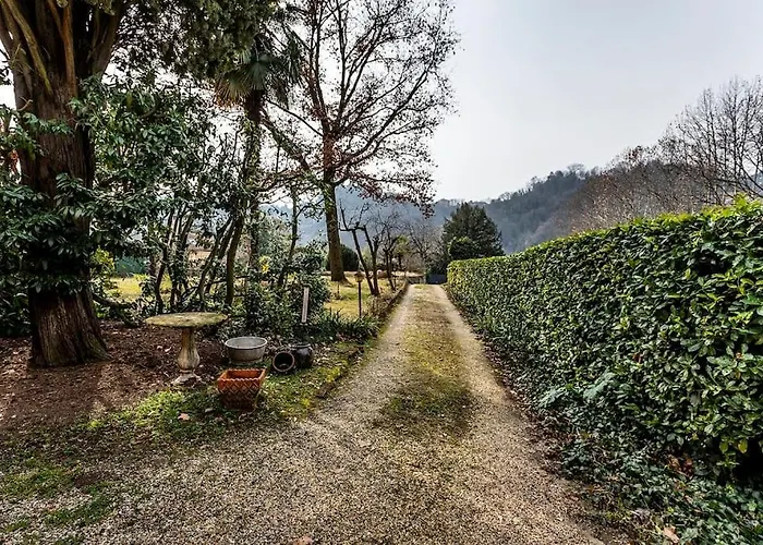 Moleloca - Margherita *